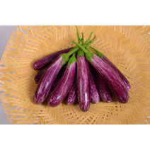 Brinjal  KSP 1451