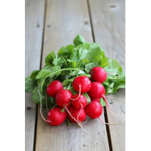 Baby Radish Seeds 