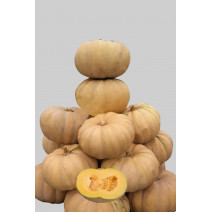 Pumpkin KSP 1663 F1
