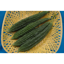 Bitter Gourd Smooth Seeds