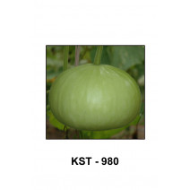 Bottle Gourd Light Green Round Seeds