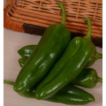 Capsicum Long Seeds