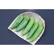 Chilly Achari Seeds