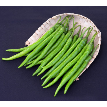 Chilly Long Seeds