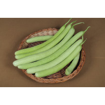  Cucumber Long Seeds