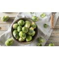 Brussel Sprouts Seeds