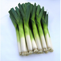 Leek Seeds
