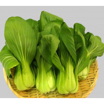 Pak Choi Seeds
