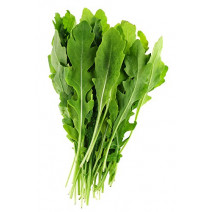 Arugula cultivated Seeds