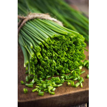Chives Seeds