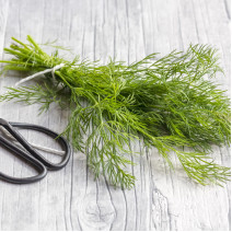 Dill Seeds