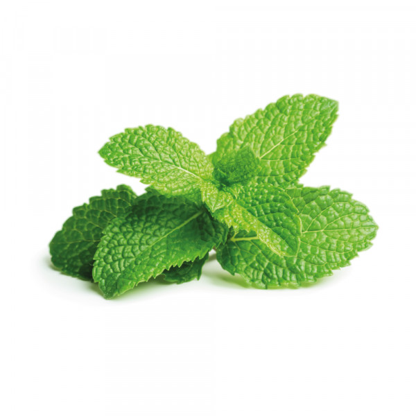 Peppermint Seeds