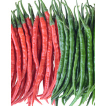 Hot Pepper Seeds