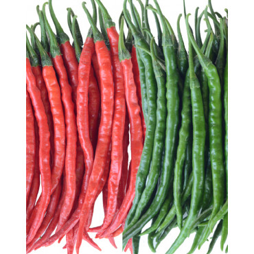 Hot Pepper Seeds