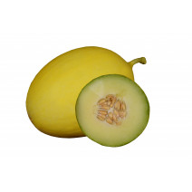 Muskmelon Canary Green Seeds