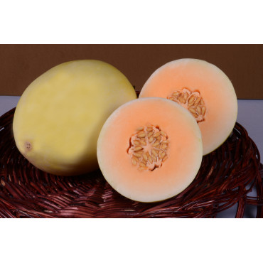 Muskmelon Canary Orange Seeds
