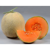 Muskmelon Galia Melon Seeds