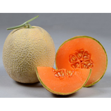 Muskmelon Galia Melon Seeds