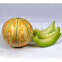 Muskmelon Green Striped Melon Seeds