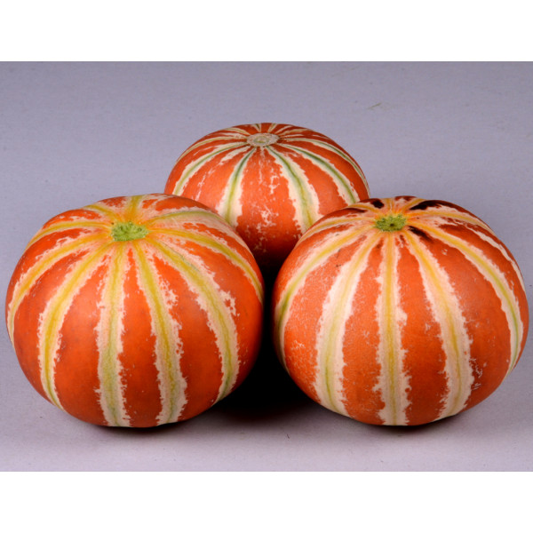 Muskmelon Indian Seeds