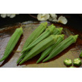 Green Okra (Lady’s Finger) Seeds