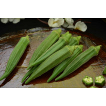 Green Okra (Lady’s Finger) Seeds