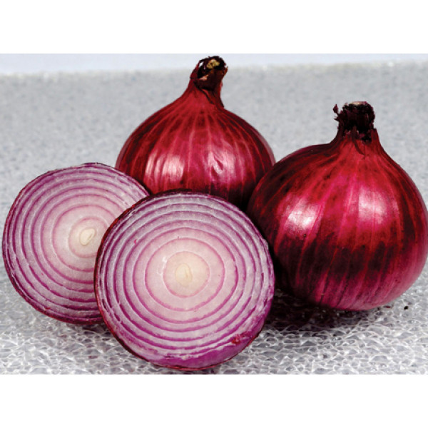 Onion Dark Seeds