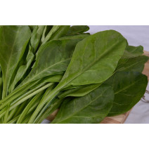 Spinach Seeds