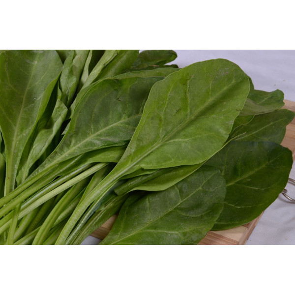 Spinach Seeds
