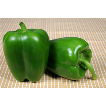 Capsicum Seeds