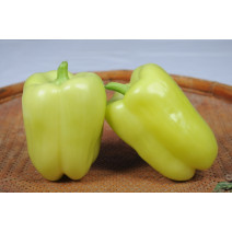 Light Green Pepper Seeds
