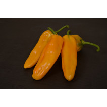 Orange Pepper Seeds