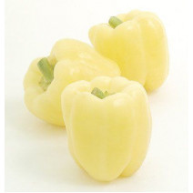 White Pepper Seeds