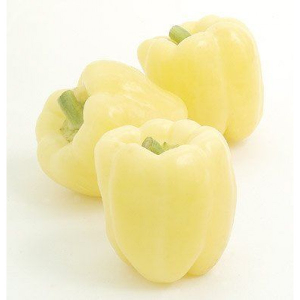 White Pepper Seeds