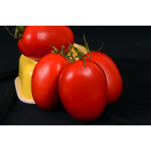 Tomato-Slice