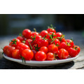 Cherry Tomato Seeds