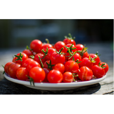 Cherry Tomato Seeds