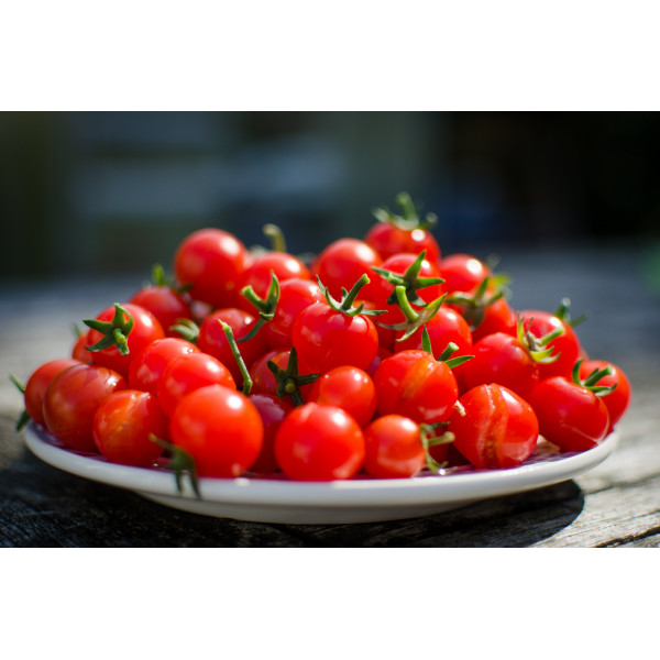 Cherry Tomato Seeds