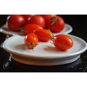 Tomato Cocktail Cherry Seeds