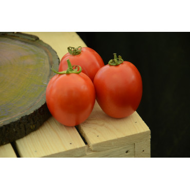 Tomato Roma Seeds