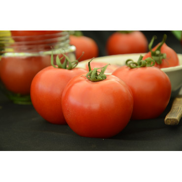 Sweet Tomato Seeds