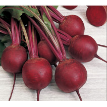 Beetroot Seeds